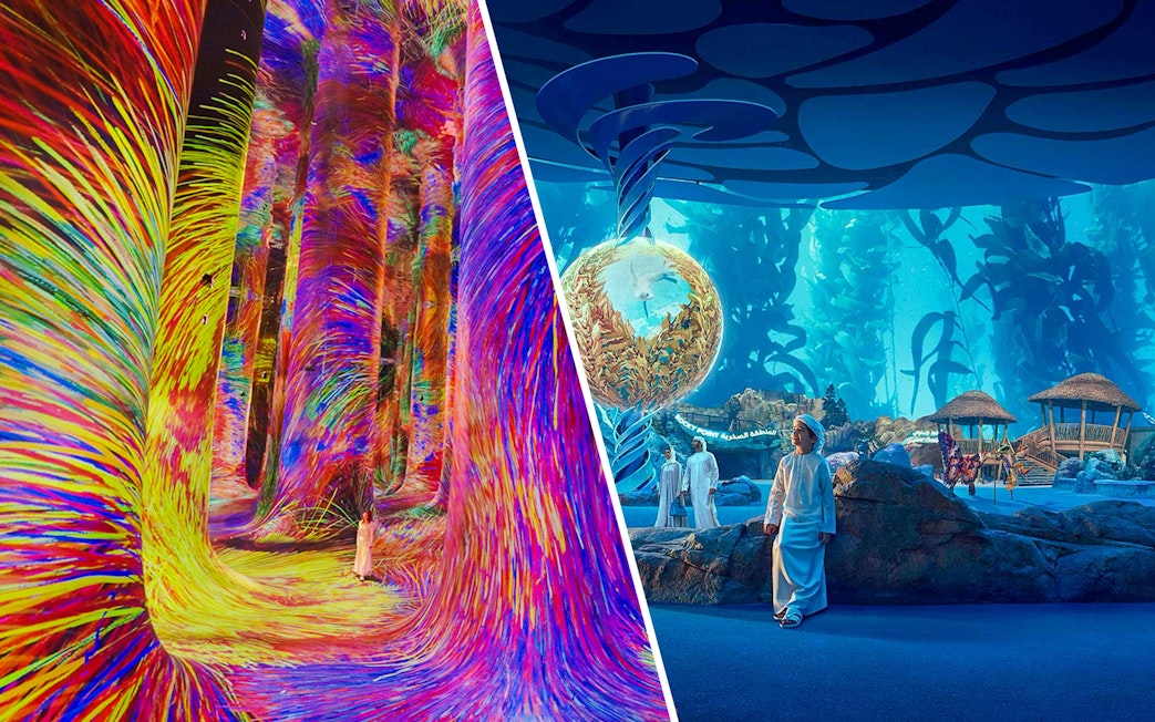 teamLab Phenomena's vibrant digital art and SeaWorld Abu Dhabi's aquatic exhibits.