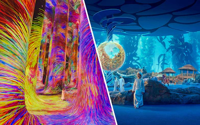 teamLab Phenomena's vibrant digital art and SeaWorld Abu Dhabi's aquatic exhibits.