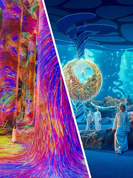 teamLab Phenomena's vibrant digital art and SeaWorld Abu Dhabi's aquatic exhibits.