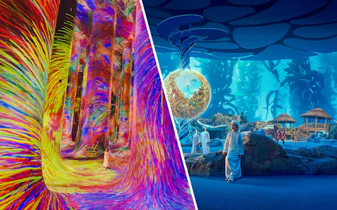 teamLab Phenomena's vibrant digital art and SeaWorld Abu Dhabi's aquatic exhibits.