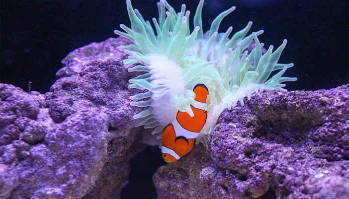 Sumida Aquarium