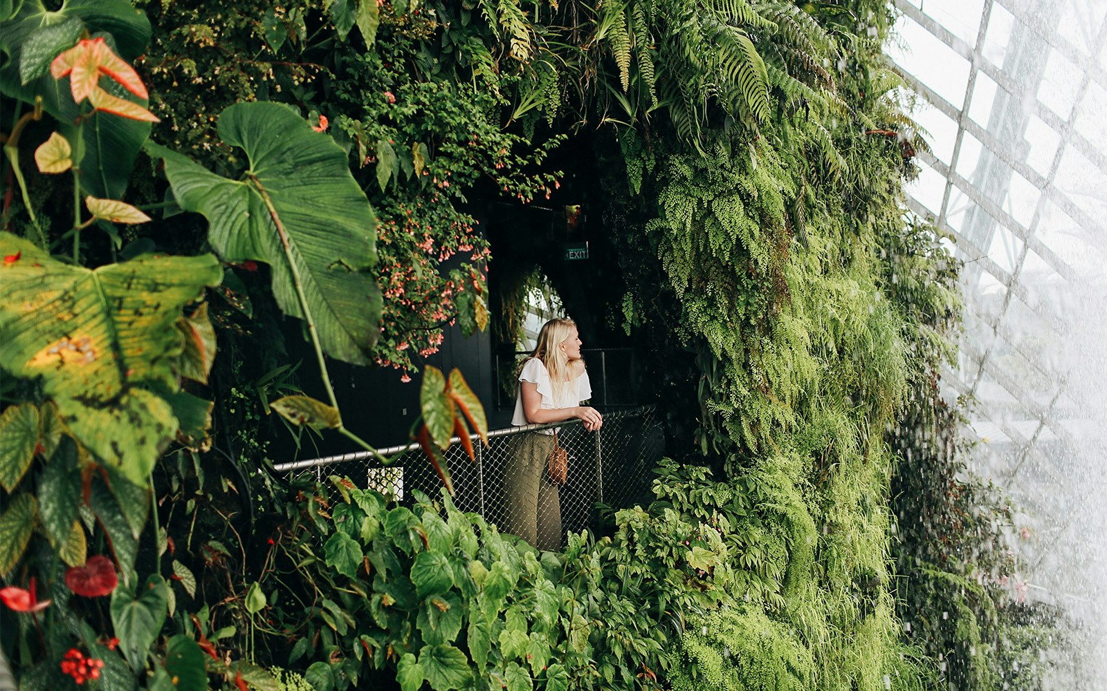 Active Garden