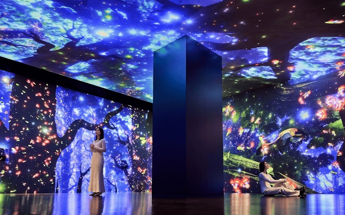 Immersive digital art installation at Wonderia YOKOHAMA with vibrant projections and visitors.