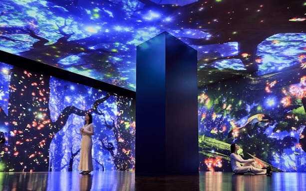 Immersive digital art installation at Wonderia YOKOHAMA with vibrant projections and visitors.