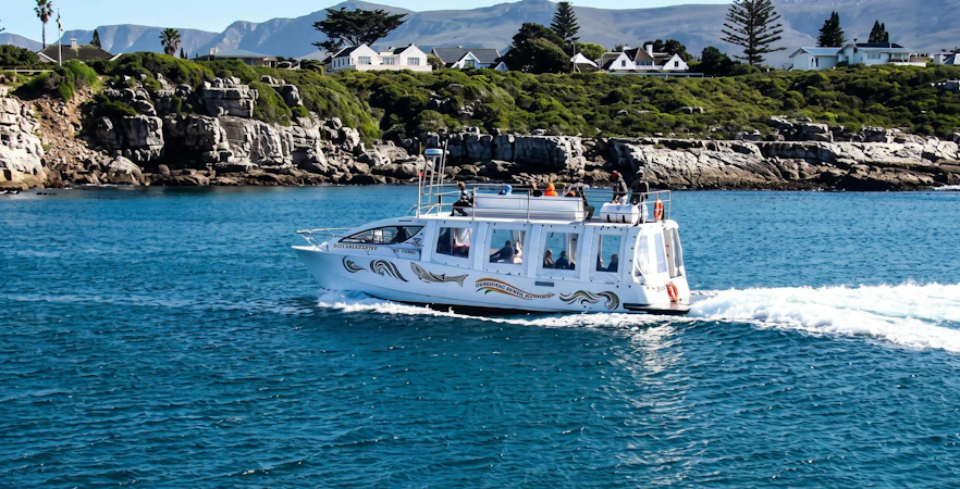 Catamaran cruising on Walker Bay with passengers enjoying whale-watching.