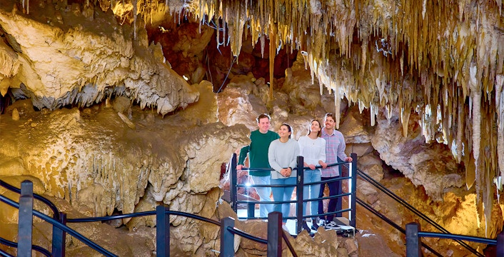 Favorite de vacanță