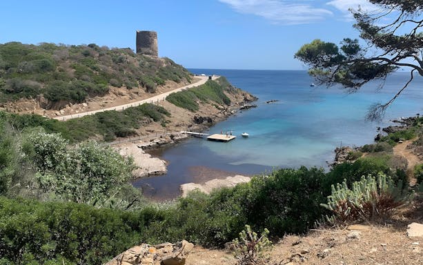 Asinara National Park coastline with a historic tower and clear blue sea, viewed from Stintino.