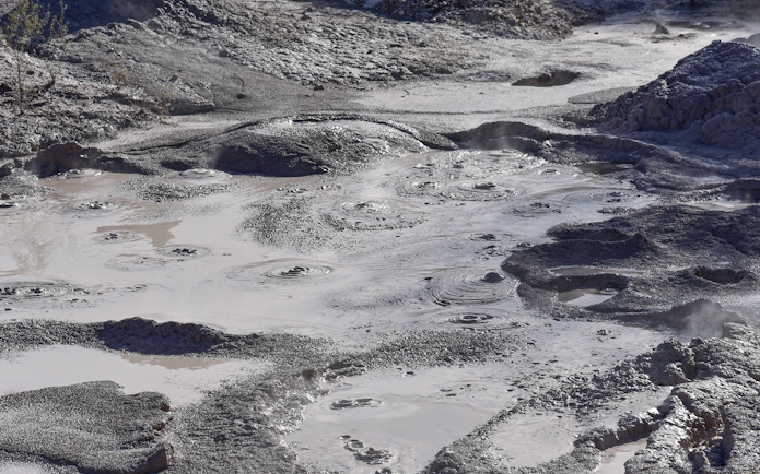 Bubbling mud pools at Wai-O-Tapu geothermal area near Rotorua, New Zealand.