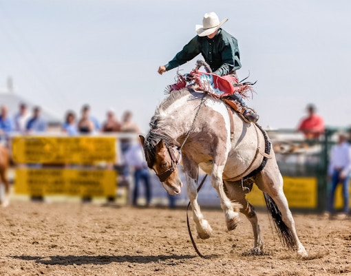 Cowboy performing a stunt on the ground at a rodeo event in Texas.