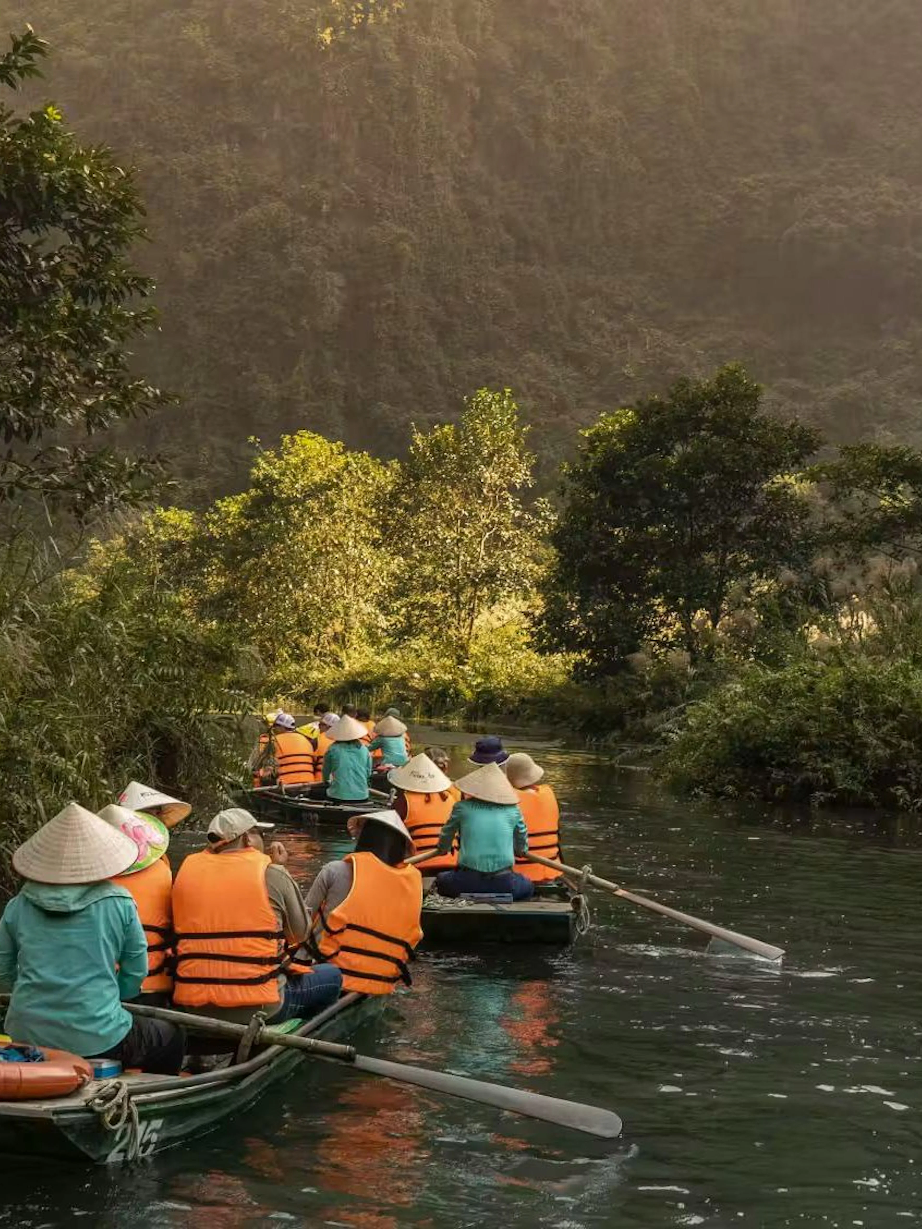 Visitors rowing boats through lush greenery at Trang An Landscape Complex, Vietnam.