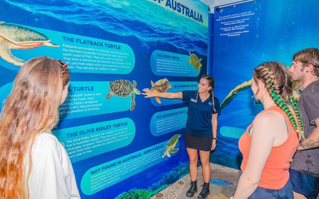 Tourists learning about turtles from a guide at the Turtle Rehabilitation Centre, Fitzroy Island.
