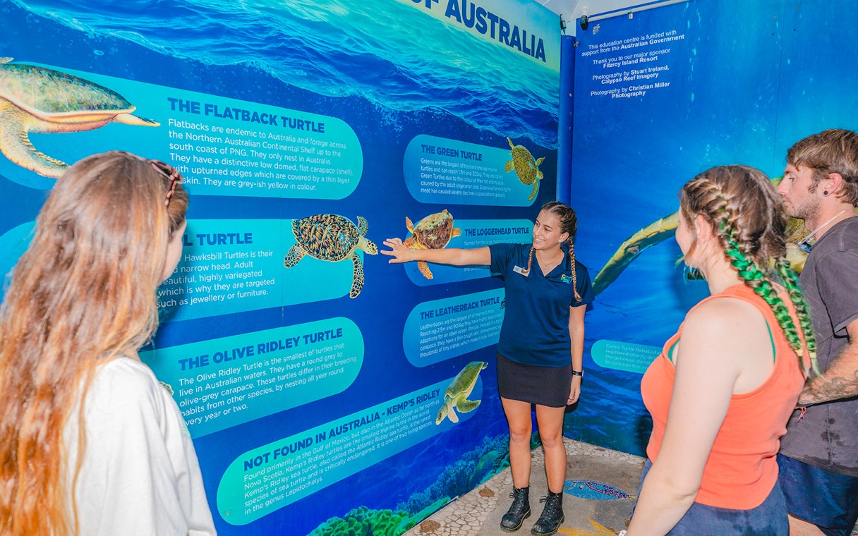 Tourists learning about turtles from a guide at the Turtle Rehabilitation Centre, Fitzroy Island.