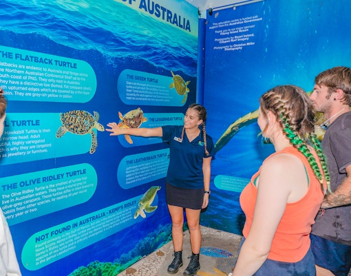Tourists learning about turtles from a guide at the Turtle Rehabilitation Centre, Fitzroy Island.
