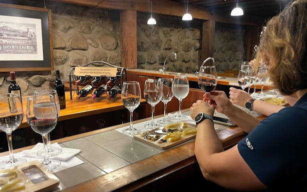 Wine tasting session at Santa Rita Vineyard, Chile, with glasses and cheese platter.