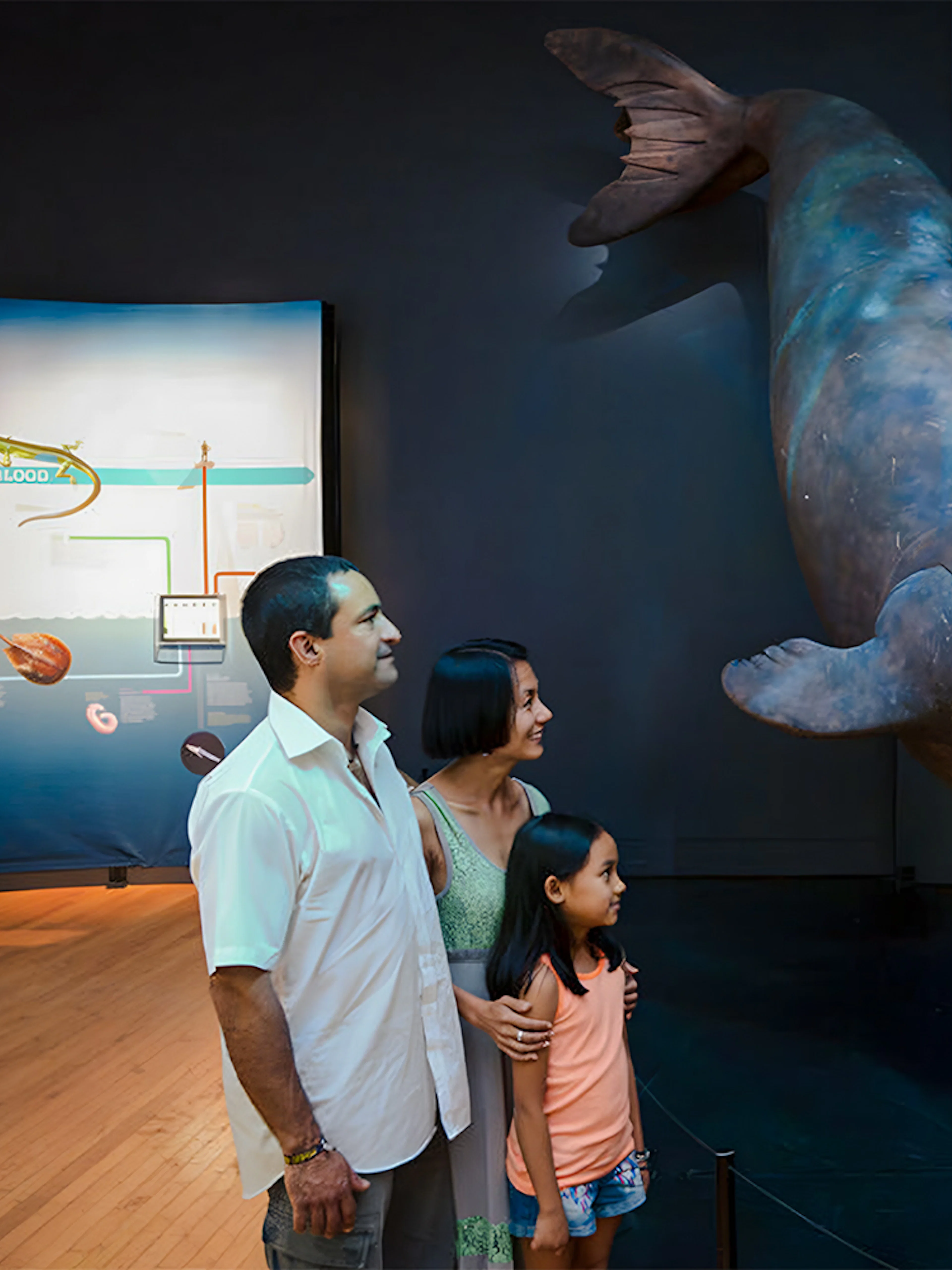 Family observing a seal exhibit at Life at the Limits: Nature’s Superheroes, American Museum of Natural History.