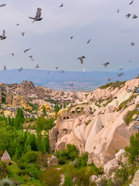 Pigeons flying over Cappadocia's Pigeon Valley with unique rock formations.