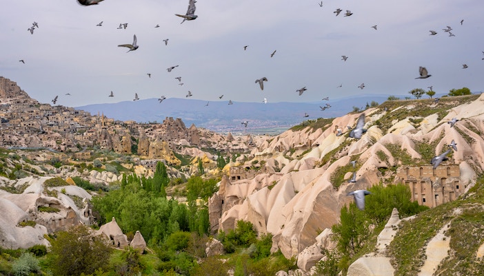 Pigeons flying over Cappadocia's Pigeon Valley with unique rock formations.