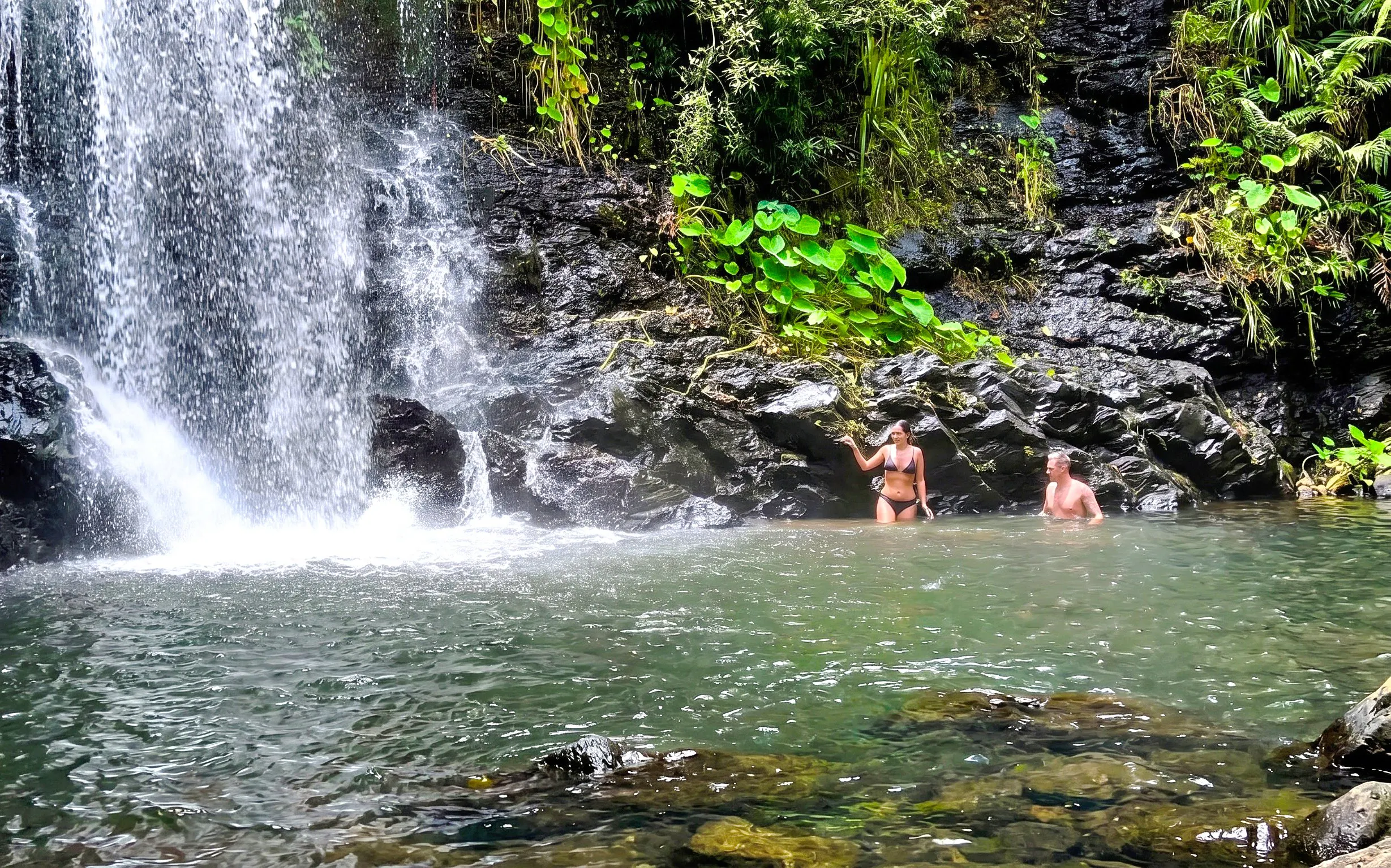 Visitors swimming near a waterfall in Daintree Rainforest, Australia.