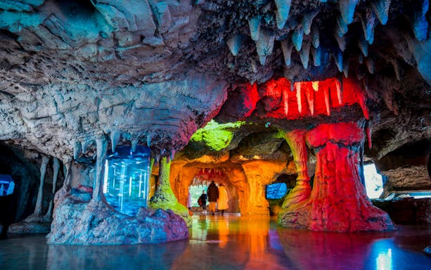 schnelleinlass-tickets für das istanbul aquarium inklusive shuttle-transfer (hin- und rückfahrt) ab sultanahmet-3
