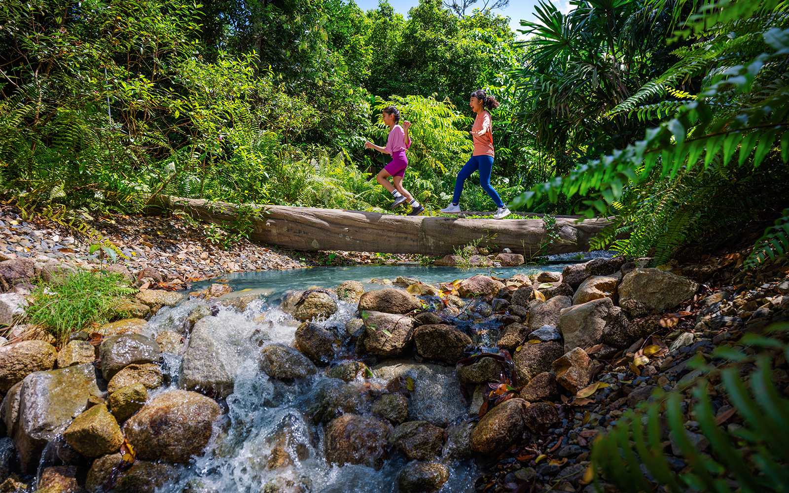 Children crossing a log over a stream in a lush forest setting.
