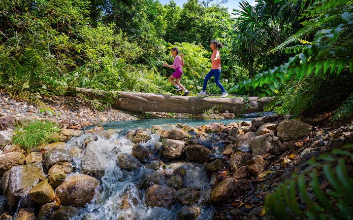 Children crossing a log over a stream in a lush forest setting.