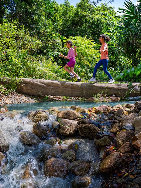 Children crossing a log over a stream in a lush forest setting.