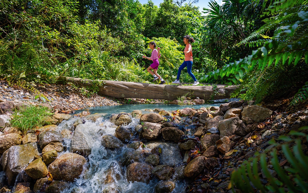 Children crossing a log over a stream in a lush forest setting.