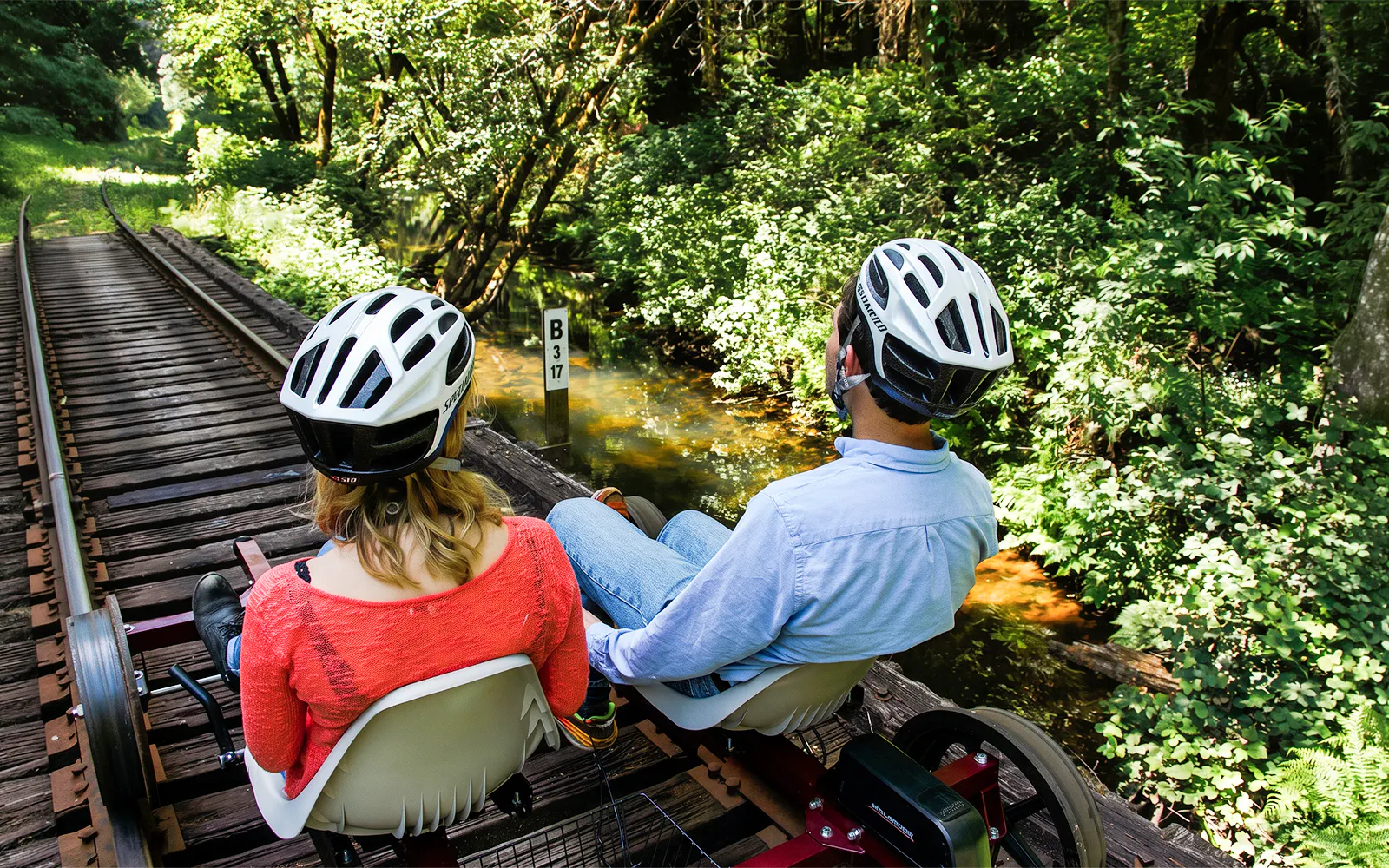 Guests riding rail bikes through redwoods in San Francisco.