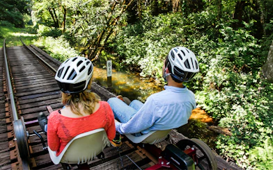 Guests riding rail bikes through redwoods in San Francisco.
