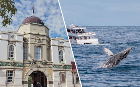 taronga zoo & whale watching cruise combo-1