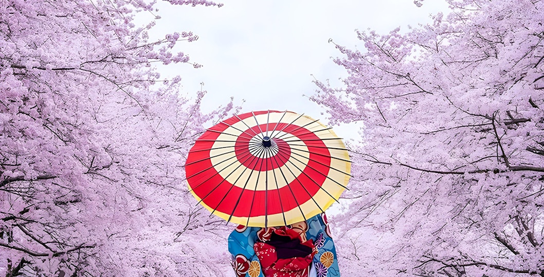Person in kimono holding a colorful umbrella under cherry blossoms in Tokyo.