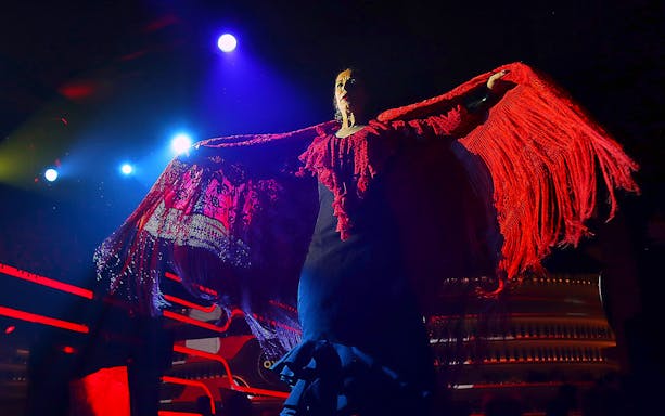 Flamenco dancer performing under stage lights with red shawl, Spain.