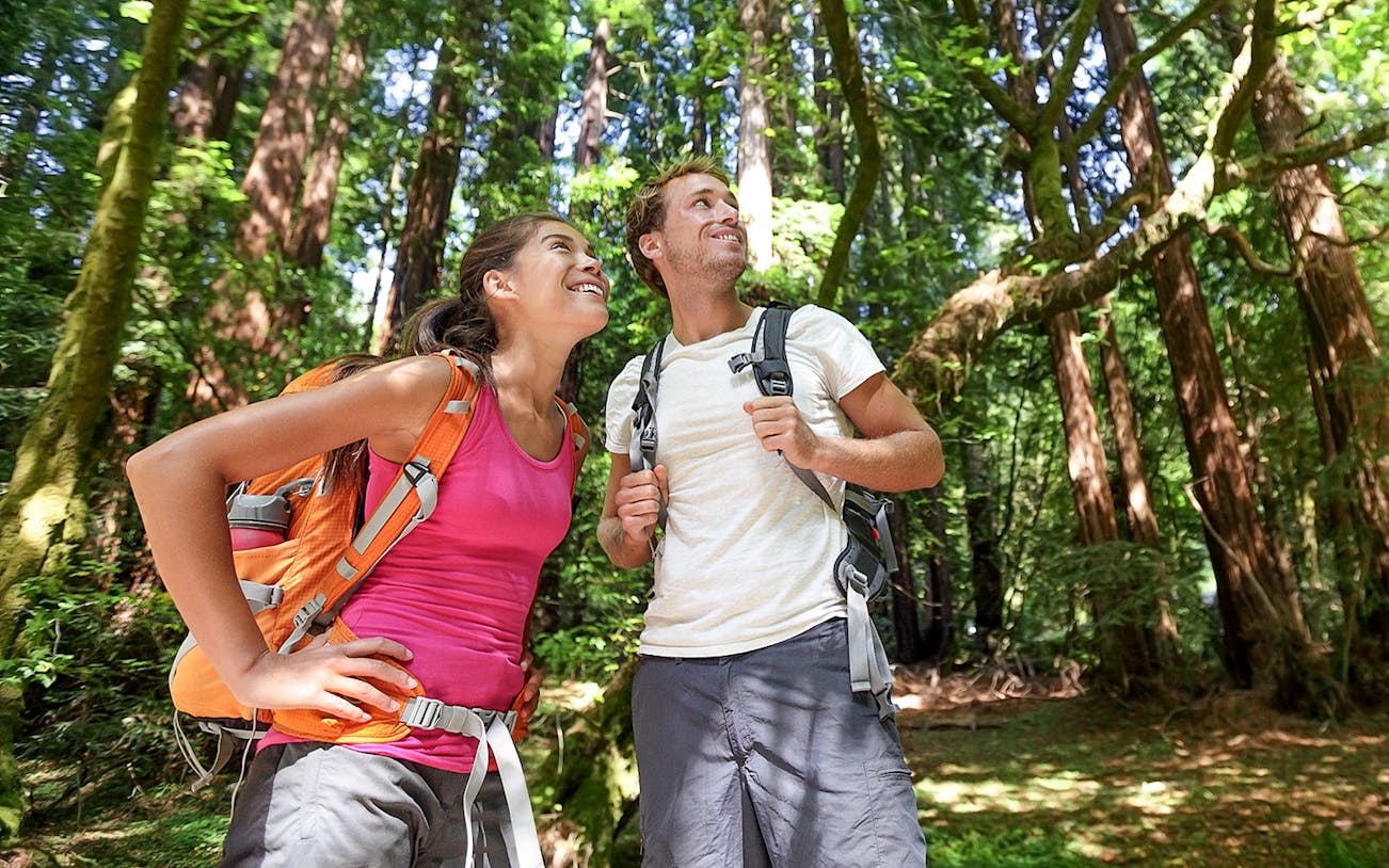 Couple hiking in Muir Woods, part of Alcatraz Tour with Sausalito.