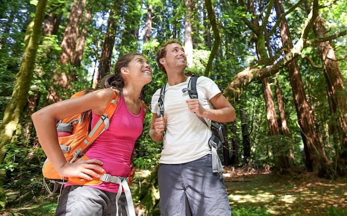Couple hiking in Muir Woods, part of Alcatraz Tour with Sausalito.
