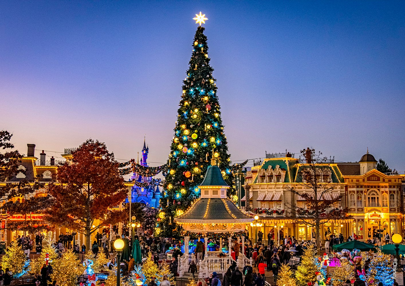 Disneyland Paris christmas evening with Christmas tree