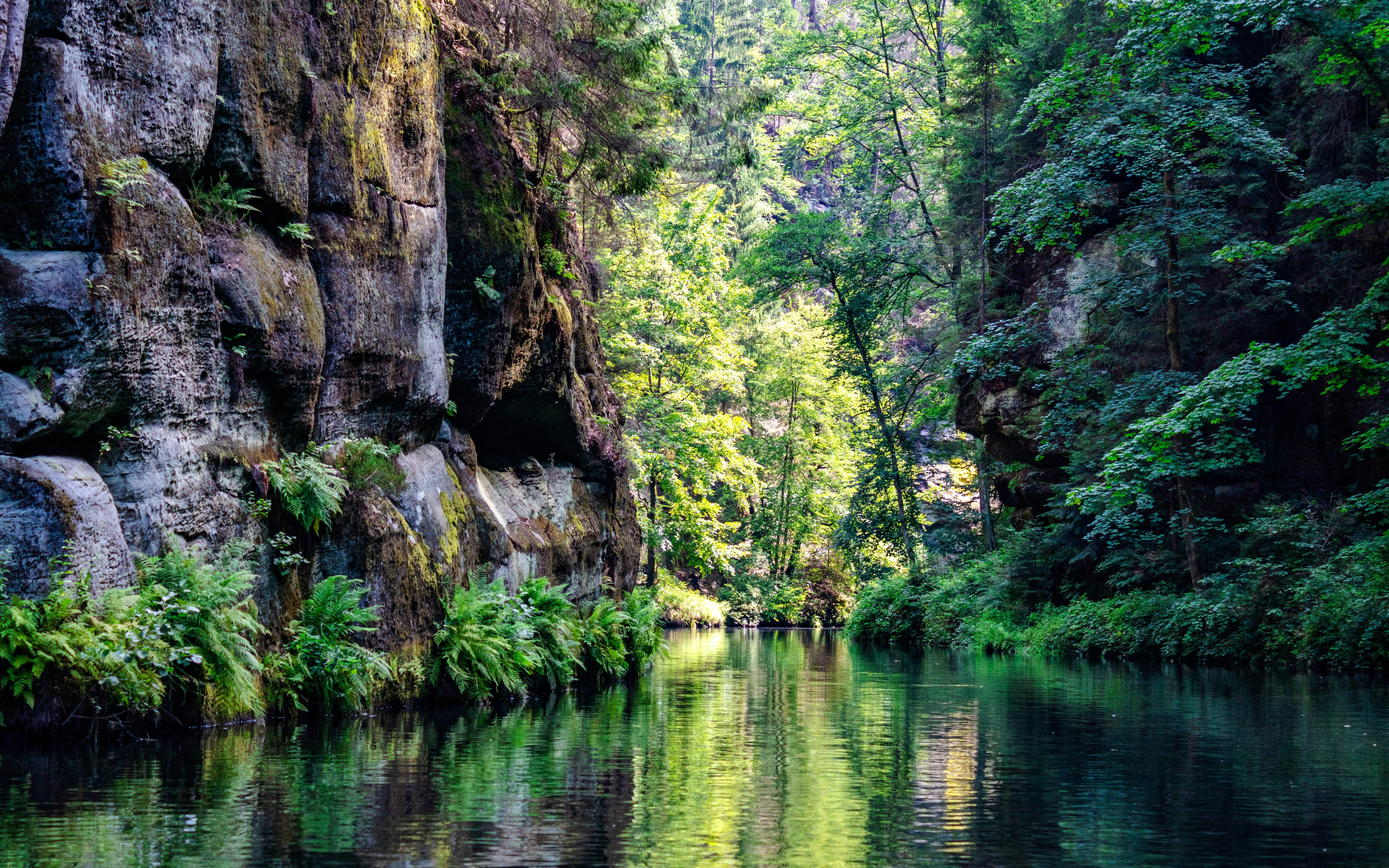 Edmunds Gorge with lush greenery and rocky cliffs in Bohemian Switzerland.