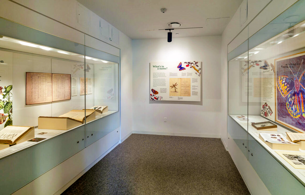 Dinosaur skeleton display at "What's in a Name" exhibit, American Museum of Natural History, New York.