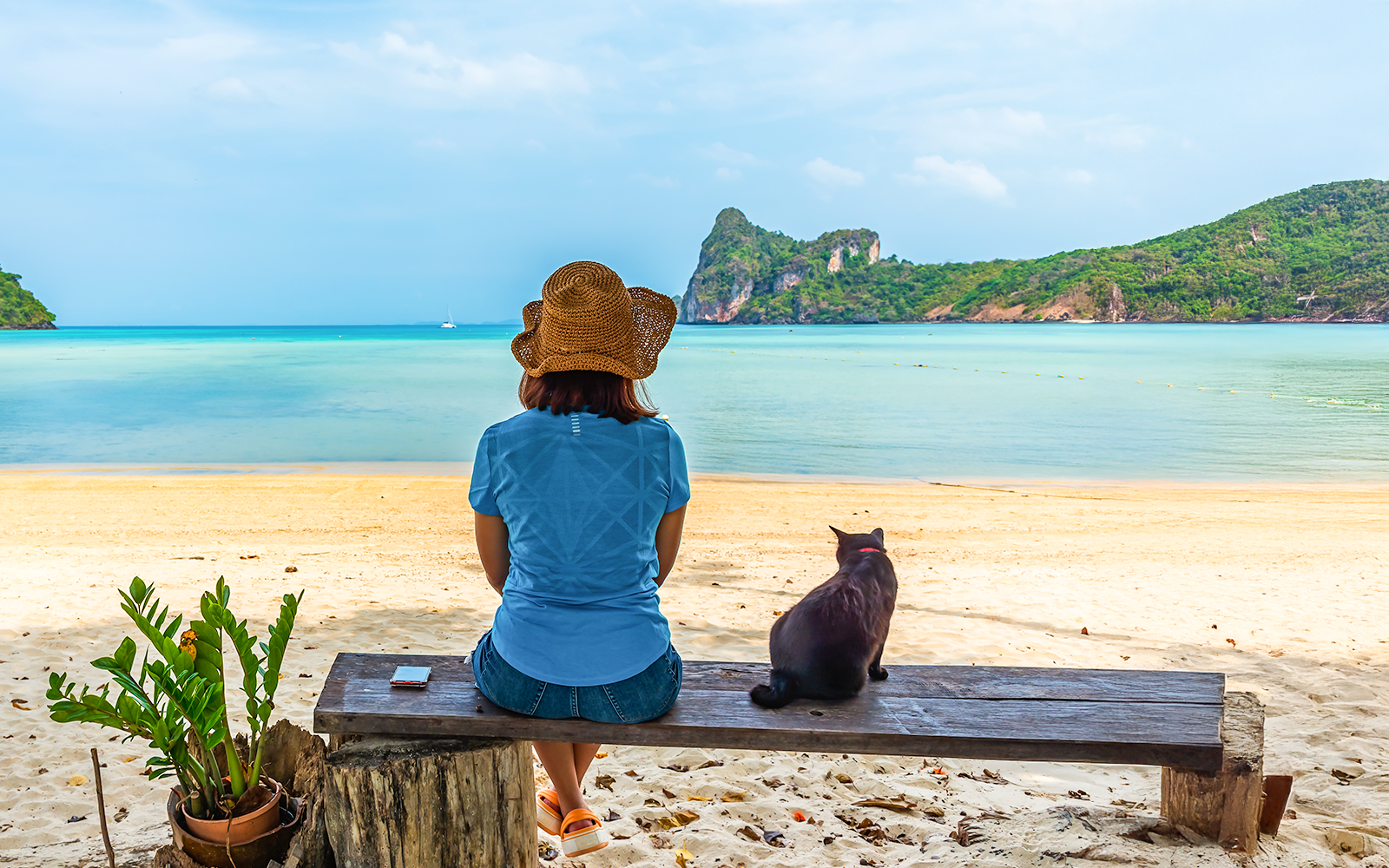 Woman and cat sitting on a bench overlooking the sea at Phi Phi Island, Krabi, Thailand.