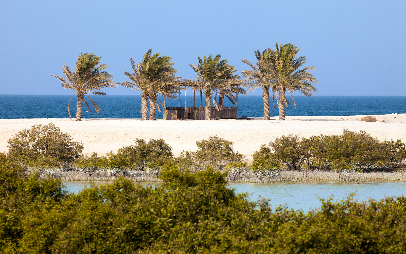 Sir Bani Yas Island