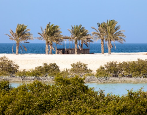 Sir Bani Yas Island