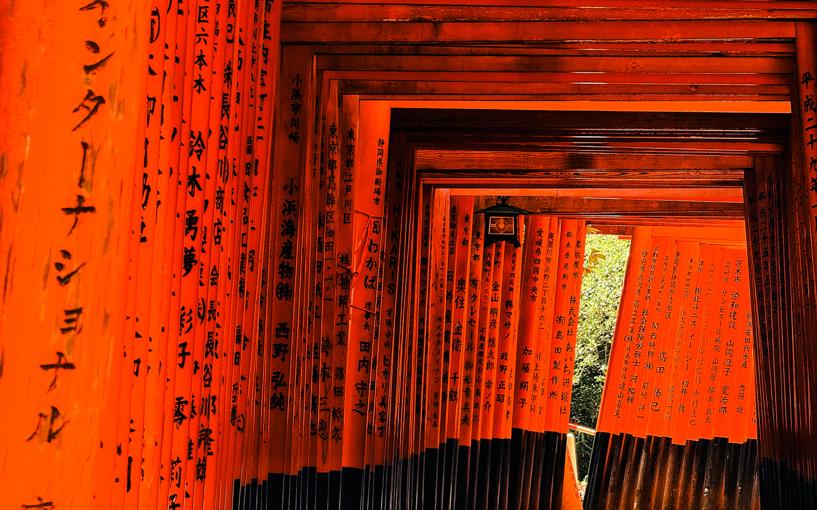 Kyoto Full-Day Private Charter Tour with Hotel Pickup from Osaka or Kyoto Image 2