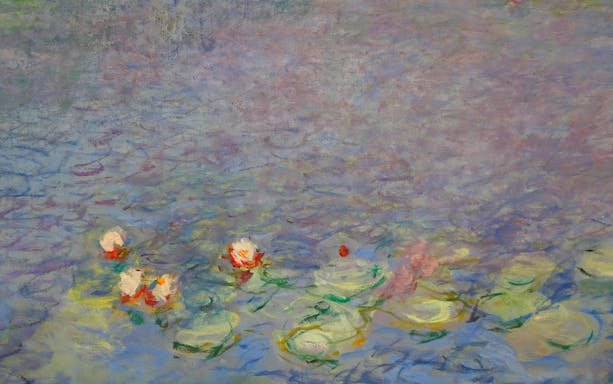 Monet's Water Lilies painting detail at Orangerie Museum, Paris.