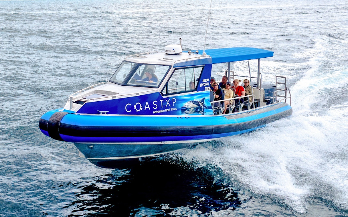 Boat with people on a whale watching tour, Lake Macquarie, Australia.