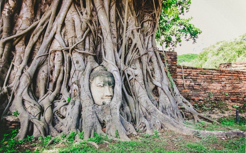 Buddha head entwined in tree roots at Wat Mahathat, Ayutthaya, Thailand.