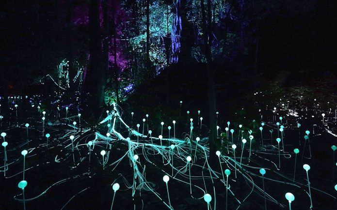 Glowing lights in Dream Forest Langkawi at night.