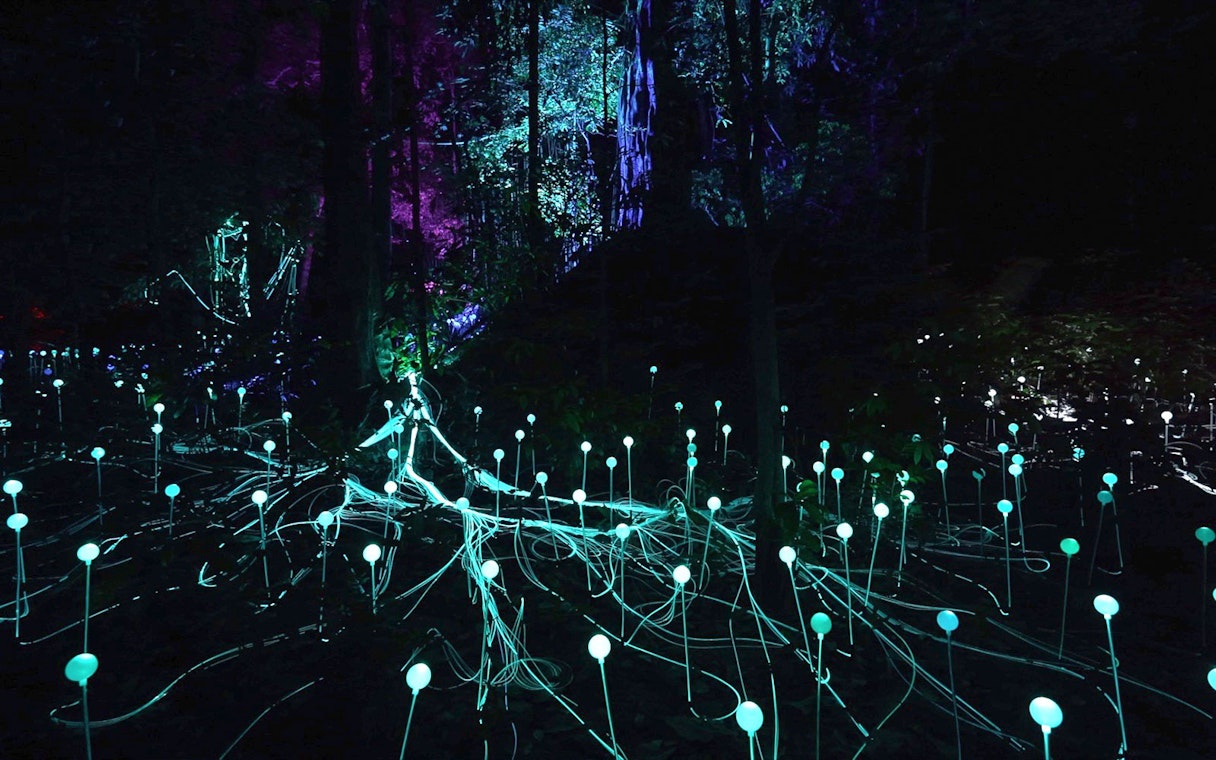 Glowing lights in Dream Forest Langkawi at night.
