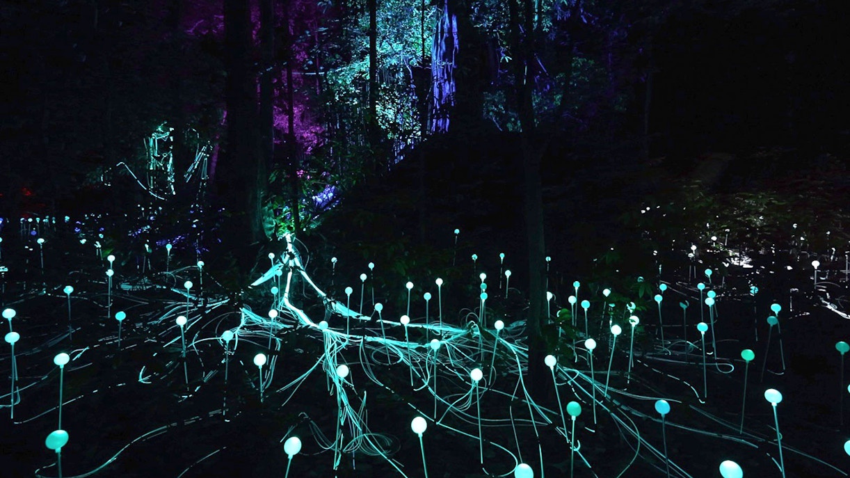 Dream Forest Langkawi Tickets