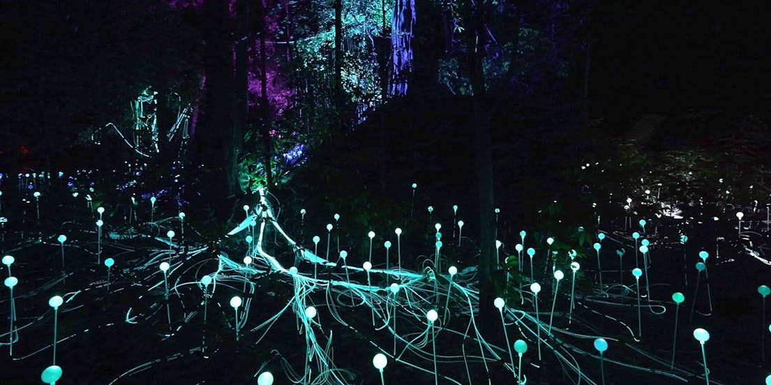 Dream Forest Langkawi Tickets