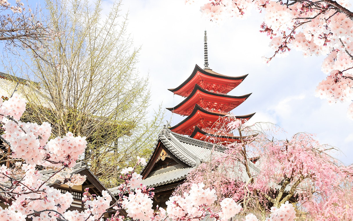 z hiroszimy: wycieczki w małej grupie do hiroszimy i miyajimy z profesjonalnymi zdjęciami-8