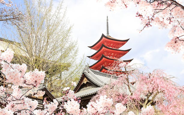 from hiroshima: hiroshima & miyajima small group tour with professional photos-5